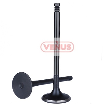 Engine_valve